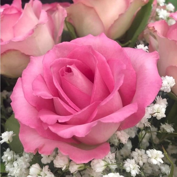 Happy Day!   lol.   😂 - Picture 5 of 16